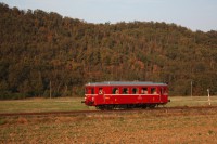 /album/fotogalerie-muzeum-mhd/vystava-muzeum-mhd8-jpg1/